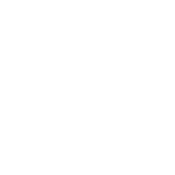 BMW Logo