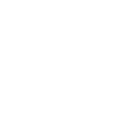 Bravado Logo